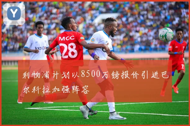 利物浦计划以8500万镑报价引进巴尔科拉加强阵容